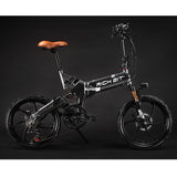 RichBit 250W Foldable Electric Bicycle 21 Speed