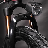 RichBit 250W Foldable Electric Bicycle 21 Speed