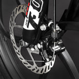 RichBit 250W Foldable Electric Bicycle 21 Speed