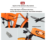 Pride 20" Aluminum Foldable 250W Electric Bicycle - 6 Speed Fat Tire